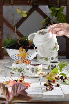 水果茶成熟的黑莓古董生活美丽的复古的集