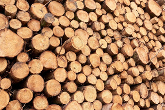柴堆木材行业木材行业很多木堆