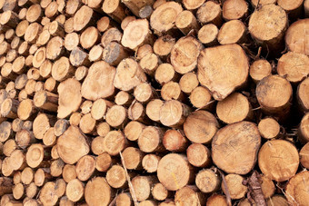 柴堆木材<strong>行业</strong>木材<strong>行业</strong>很多木堆