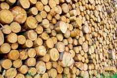 柴堆木材行业木材行业很多木堆