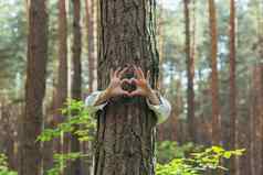 手年轻的女人拥抱树森林显示标志心爱自然