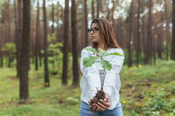 年轻的女志愿者植物森林持有橡木树幼苗手