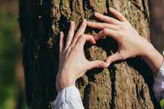 手年轻的女人拥抱树森林显示标志心爱自然