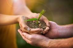 有爱心的人持有手种子植物土壤增长环境意识保护可持续发展的发展生态夫妇小树日益增长的手生育能力地球一天