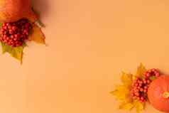 秋天作文干叶子南瓜罗文浆果橙色背景秋天秋天感恩节一天概念平躺前视图复制空间