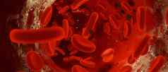 视图显微镜血红色的血细胞生活身体插图