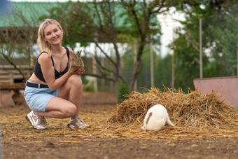 女孩欧芹兔子提要棕色（的）复活节兔子白色背景绿色可爱的坐着宠物毛茸茸的草品种动物蔬菜