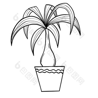 德拉塞纳<strong>龙树</strong>能黑色的行大纲卡通风格着色书室内<strong>植物</strong>花<strong>植物</strong>中间体设计简单的极简主义设计<strong>植物</strong>夫人礼物