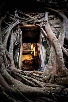 佛雕像砖教堂墙巨大的树根什么爆炸如果samutsakhon泰国