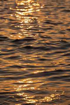 涟漪海海洋水表面金日落光海波关闭