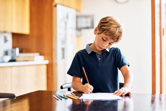 家庭作业帮助开发积极的研究技能习惯年轻的男孩家庭作业
