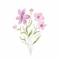 水彩粉红色的花插图花束野花