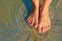 可爱的女孩的腿脚站清晰的透明的水