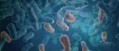 微细菌治疗细菌生物微观沙门氏菌乳酸菌嗜酸的生物渲染