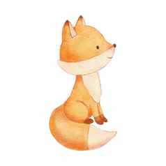 水彩可爱的狐狸手画字符森林动物孤立的白色背景林地插图