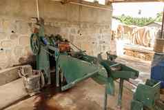 设备洗咖啡豆子农场