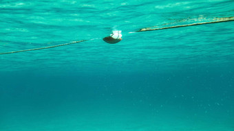 水下照片<strong>游泳</strong>绳子海浮标Shoal<strong>小鱼</strong>摘要海洋背景