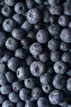 大盒子分散新鲜的蓝莓新鲜的生食物自然健康的食物
