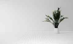 室内植物复制空间白色木地板上背景室内自然装饰概念插图呈现