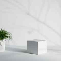 白色最小的产品讲台上室内植物树树干叶子影子背景插图呈现