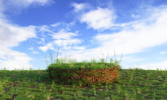 长满草的讲台上蓝色的清晰的天空背景<strong>产品广告</strong>自然对象概念插图呈现