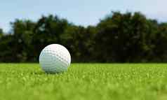高尔夫球球草球道绿色背景体育运动运动概念插图呈现