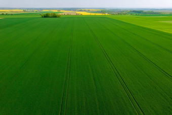 全景视图前小麦场农村农场字段