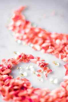 珊瑚玫瑰花瓣大理石颜色一年花背景假期概念