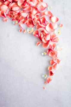 珊瑚玫瑰花瓣大理石颜色一年花背景假期概念