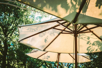 阳光白色阳<strong>伞伞</strong>状花的花园家具函数设计装饰