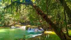 全景异国情调的美丽的热带深热带雨林瀑布新鲜的瀑布深森林