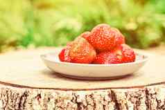 新鲜的草莓阳光明媚的花园新鲜的水果健康的吃概念