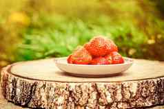 新鲜的草莓阳光明媚的花园新鲜的水果健康的吃概念