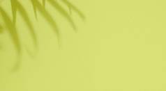 绿色背景影子棕榈叶示范化妆品产品促销活动广告