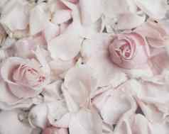 玫瑰花花瓣大理石婚礼假期花花园风格概念