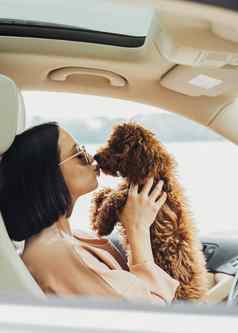年轻的浅黑肤色的女人女人快乐老板红色头发的人狗玩具贵宾犬坐着内部车接吻爪子宠物