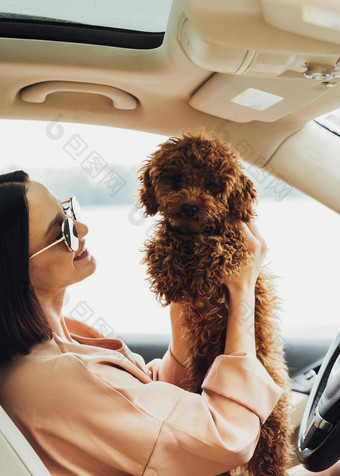 年轻的浅黑肤色的女人女人快乐老板红色头发的人狗玩具贵宾犬成人女孩坐着内部车爪子宠物