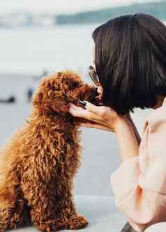 浅黑肤色的女人女人接吻宠物红色头发的人狗品种玩具贵宾犬在户外