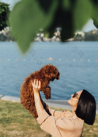 年轻的浅黑肤色的女人女人快乐老板红色头发的人狗玩具贵宾犬成人女孩持有手爪子宠物