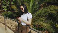 忙业务女人太阳镜移动电话异国情调的棕榈树美丽的年轻的旅游女孩冲浪互联网智能手机微笑