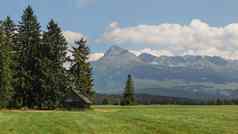 夏天草地木小屋山克里文斯洛伐克语象征高基背景阳光明媚的一天传统的斯洛伐克景观