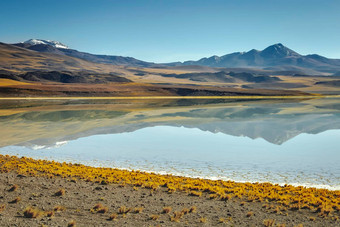 拉古纳Tuyajto盐湖阿塔卡马沙漠火山景观智利