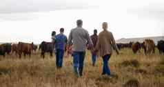 农场农村家庭牛农业草场自然农民妈妈。爸爸孩子们爷爷奶奶牛可持续发展的动物乳制品牛肉肉行业