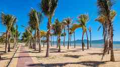 禁止安普尔海滩芭堤雅泰国海滩美丽的棕榈树蓝色的海洋芭堤雅