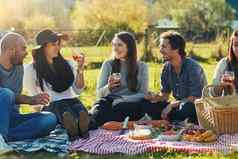享受夏天太阳朋友集团朋友野餐在户外