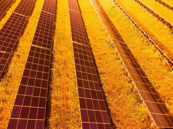 空中前视图太阳能面板权力植物光伏太阳能面板日出日落农村现代技术气候护理地球储蓄可再生能源概念