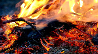 篝火热燃烧火焰森林危险火