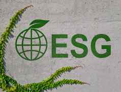 墙登记环境、社会和治理环境社会治理全球绿色叶子