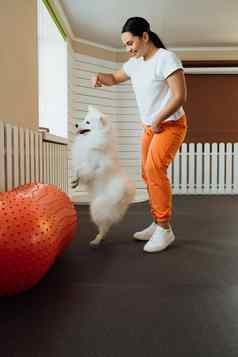 白雪公主狗品种日本斯帕斯培训宠物房子教练