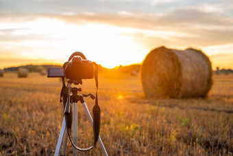 相机三脚架准备使照片晚些时候夏天场稻草球日落